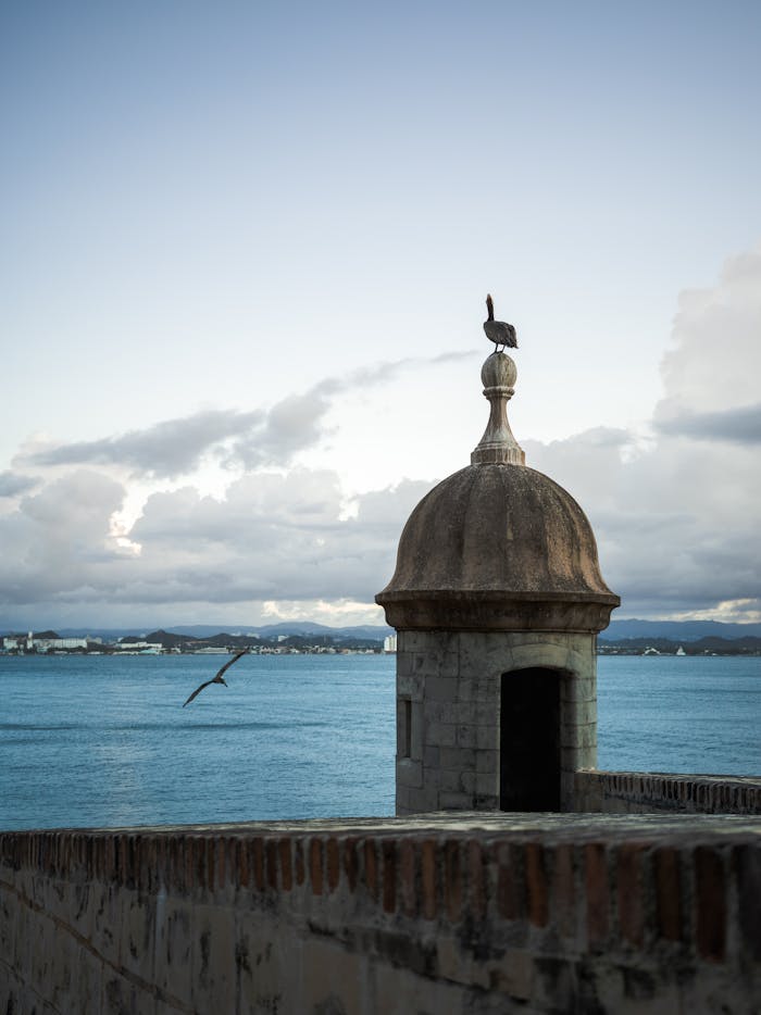 testimonial-img Pelican perched on a stone fort tower by the sea under a cloudy sky at dusk.